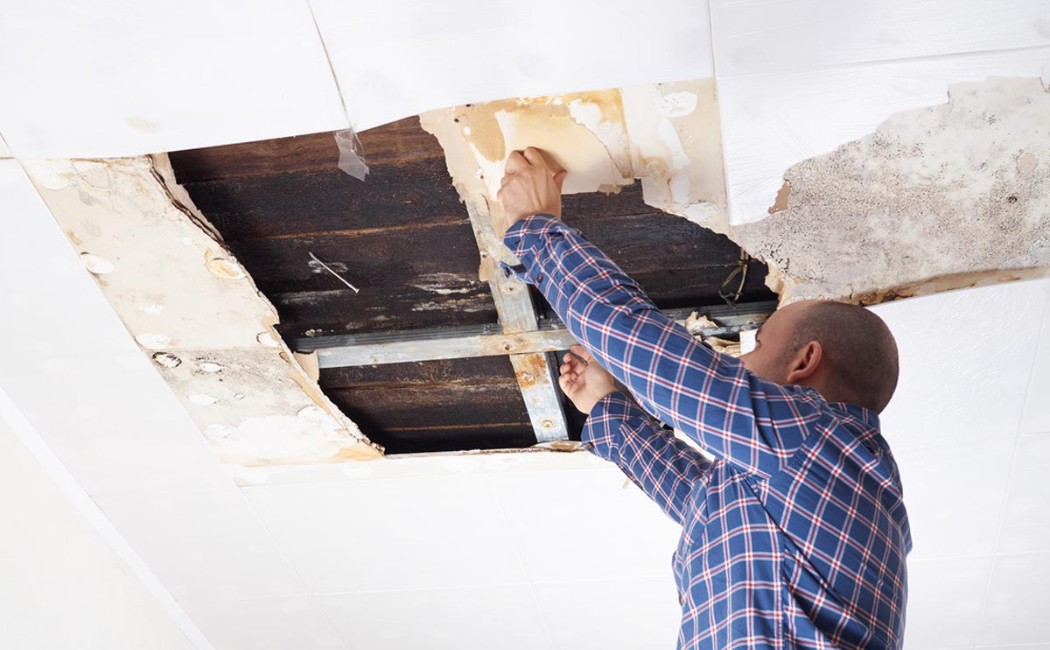 Man performing Drywall Repair Services by removing damaged ceiling panels with visible water damage and mold.